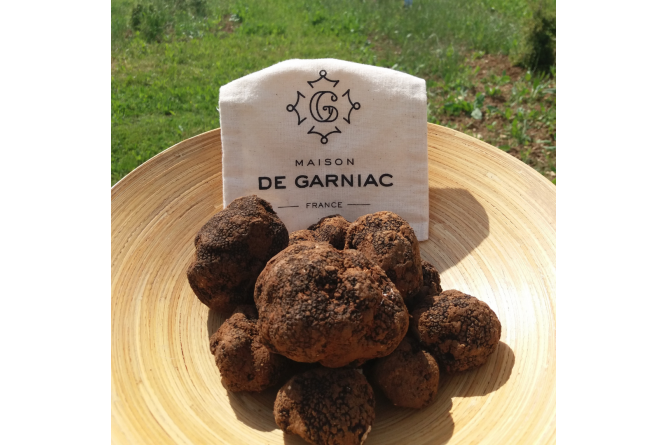 Expérience : découvrez le monde secret des truffes